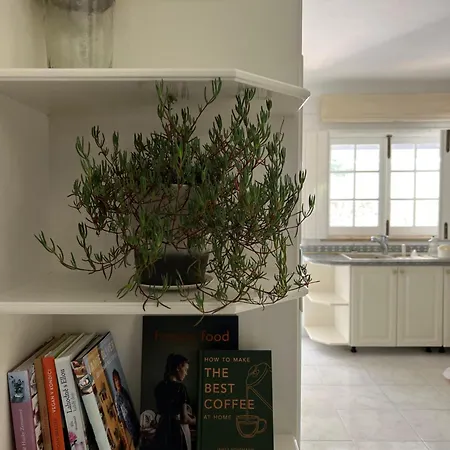 Villa Casa Da Vida Boa