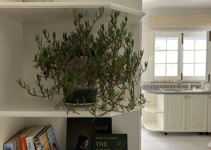 וילה Casa Da Vida Boa